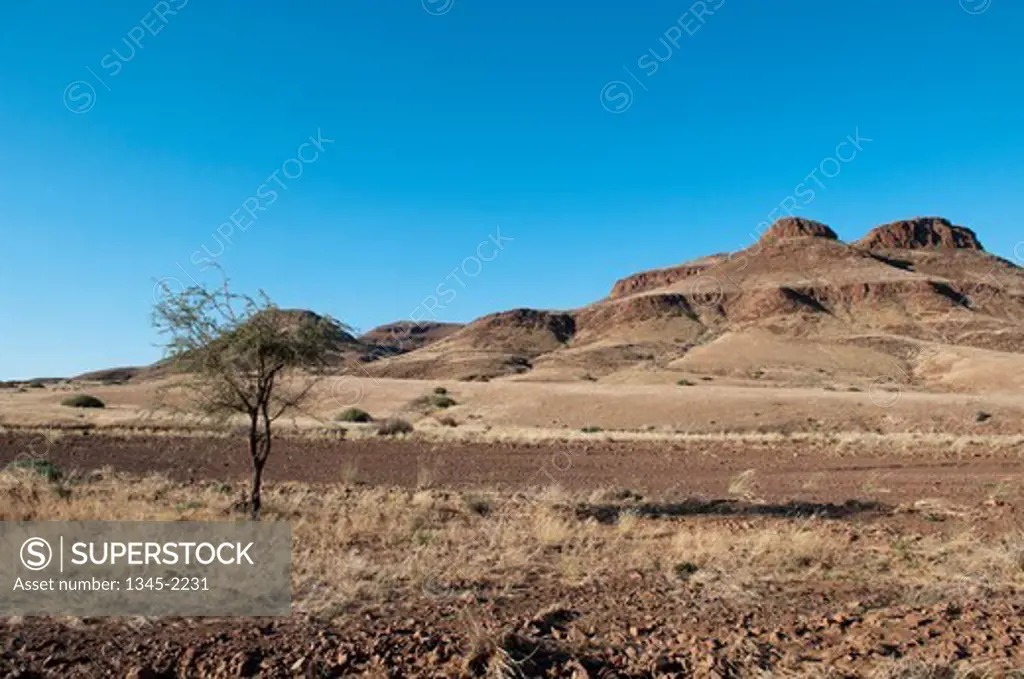 Namibia, Damaraland, Torra Conservancy, Huab river Valley