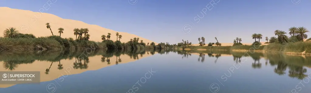 Reflection of trees in a lake, Lake Om-El-Ma, Erg Awbari, Fezzan, Libya