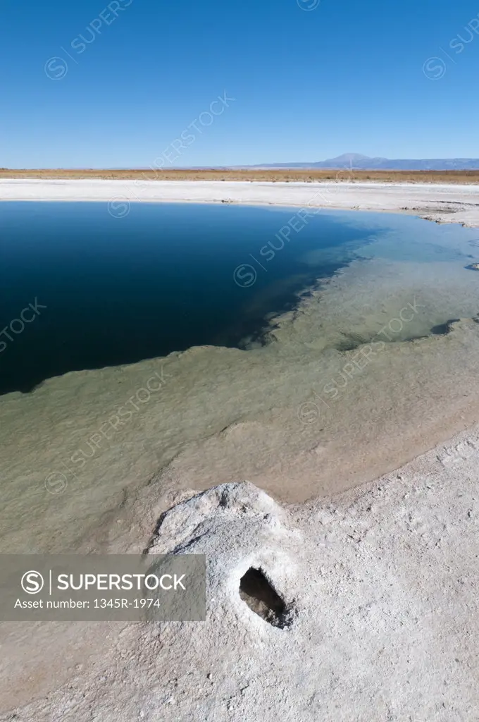 Chile, Atacama Desert, Salar de Atacama, Laguna Sejar
