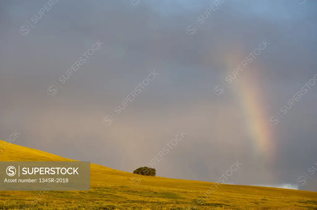 Chile, Easter Island, Rapa Nui, Landscape with rainbow