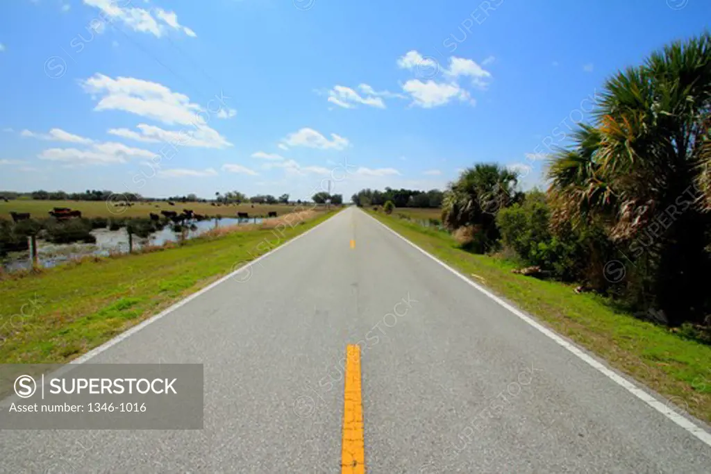 Highway passing through a landscape, Florida State Road 780, Sarasota County, Florida, USA