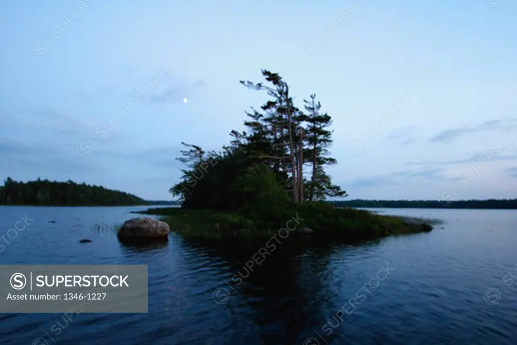 Trees on an island in a lake, Canada