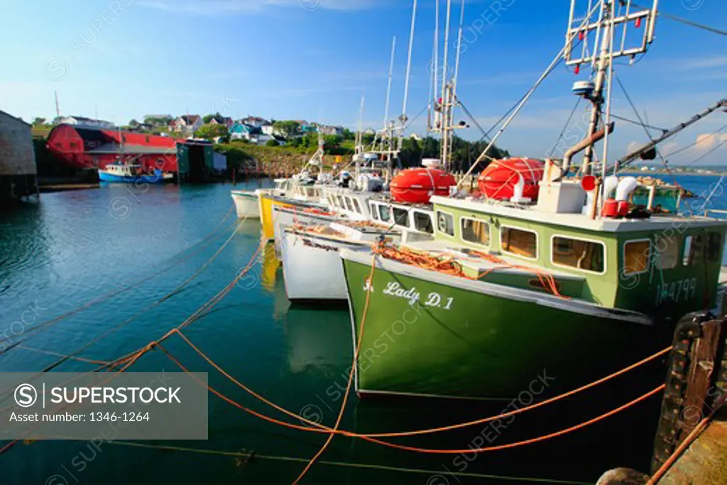 Fishing boats at a port, Cape St. Marys, Nova Scotia, Canada