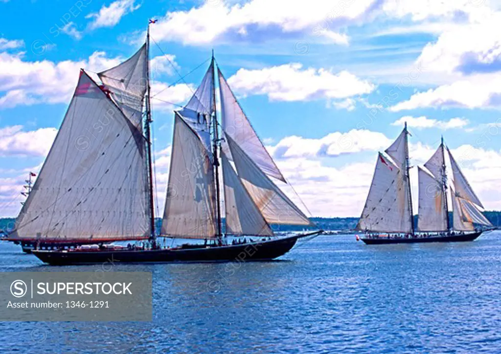 Sailboats taking part in the Parade of Sail during the tall ships festival, Halifax, Nova Scotia, Canada