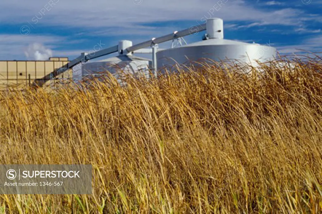 Oil Storage Tanks, South Dakota, USA