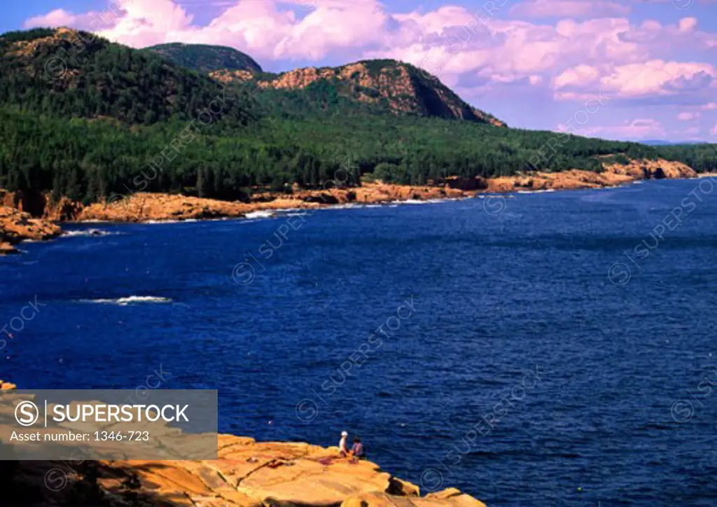 Rocks along a coast, Otter Cliffs, Acadia National Park, Maine, USA