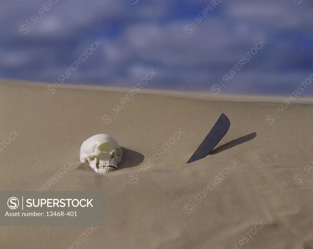 View of a skull in sand