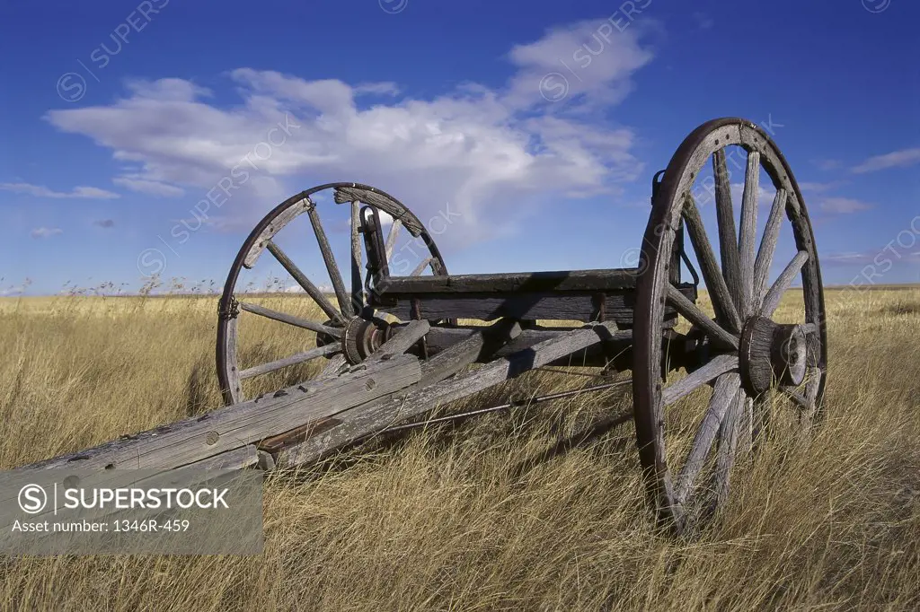 Low angle view of an old fashioned wagon, Alberta, Canada