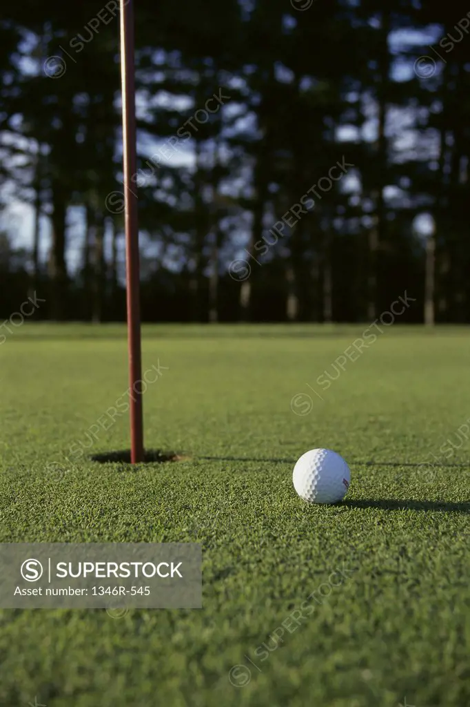 Close-up of a golf ball near the hole