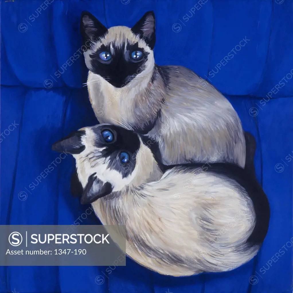 Siamese Cats on Blue Background 1996 Isy Ochoa (b.1961 French) Oil on canvas