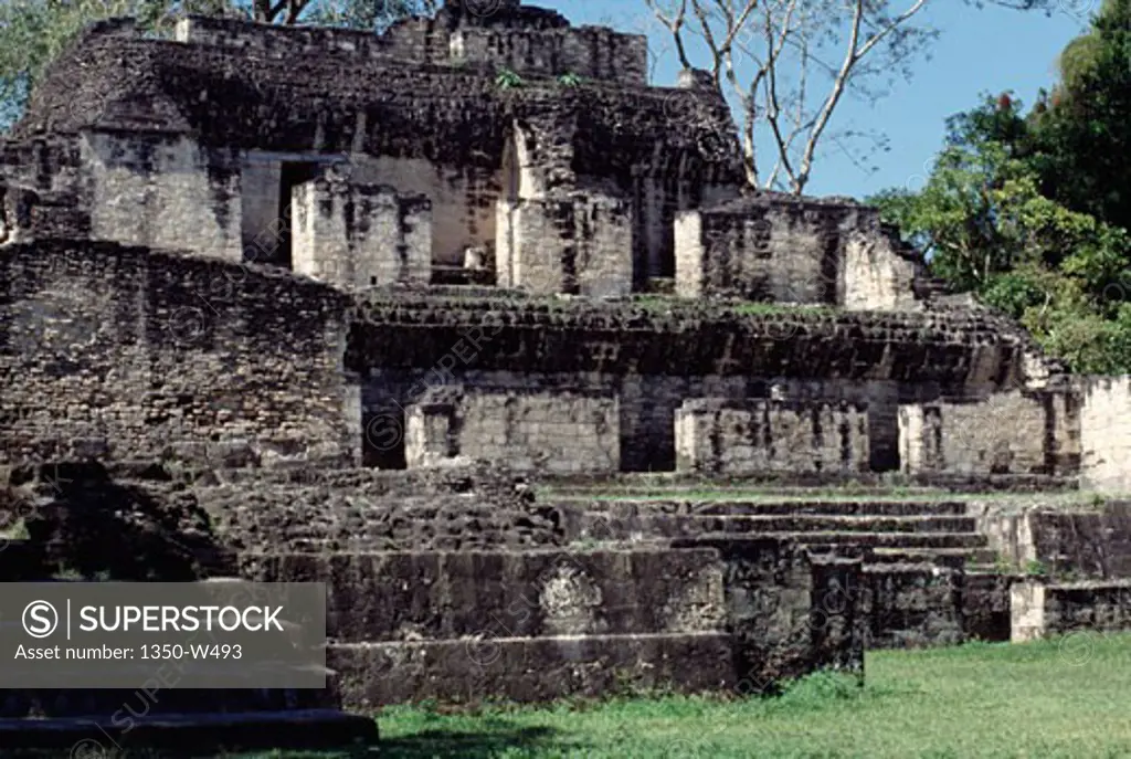 Old ruins of a temple, Central Acropolis, Tikal (Mayan), Guatemala