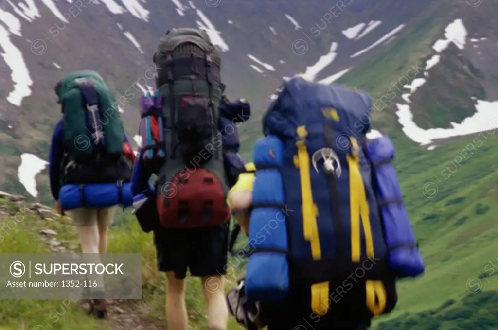 Rear view of a group of hikers carrying backpacks walking on a trail, Alaska, USA