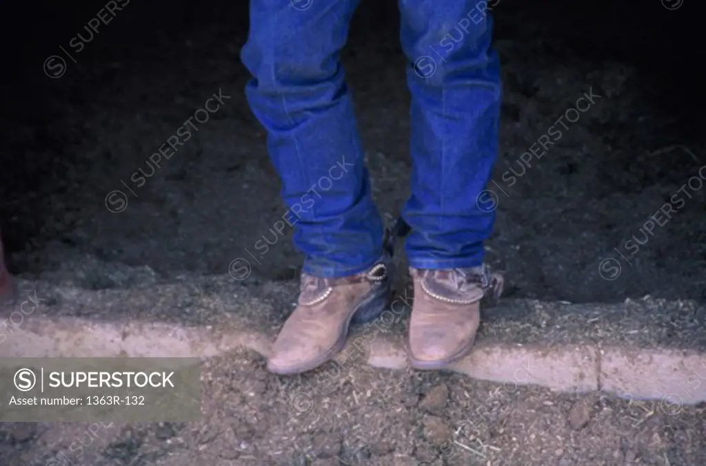 Low section view of a person wearing cowboy boots