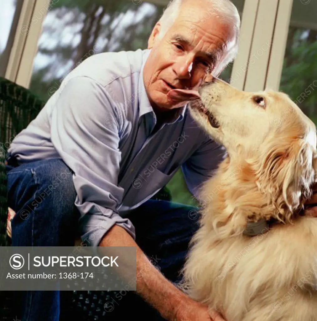 Close-up of a dog licking a senior man's face