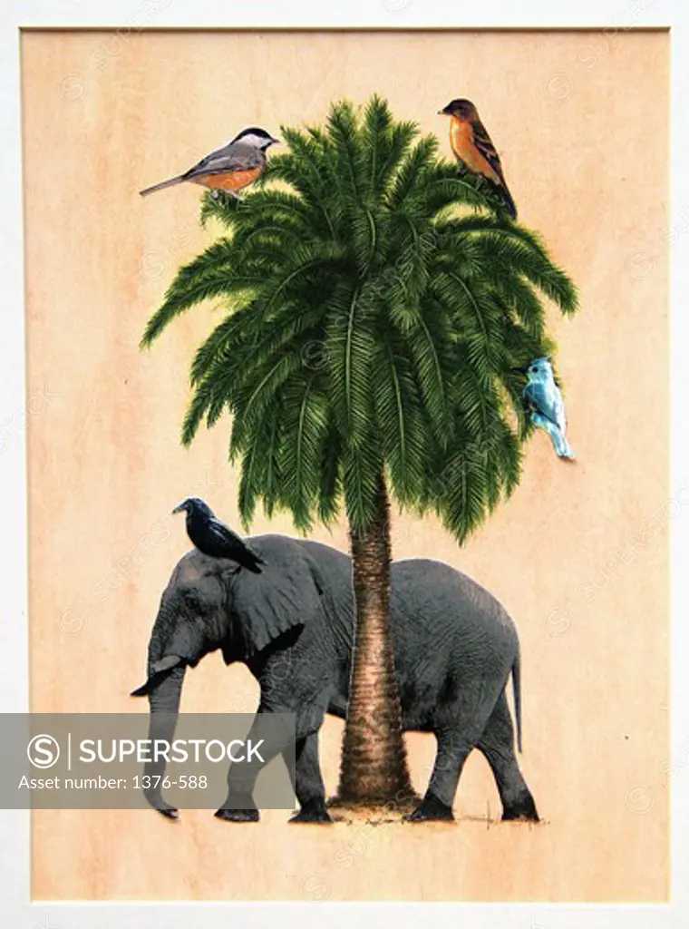 Jungle Fantasy, illustration