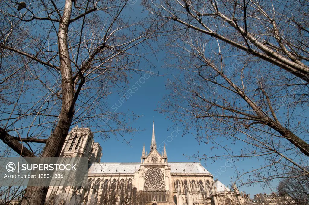 Low angle view of a cathedral, Notre Dame de Paris, Paris, Ile-de-France, France