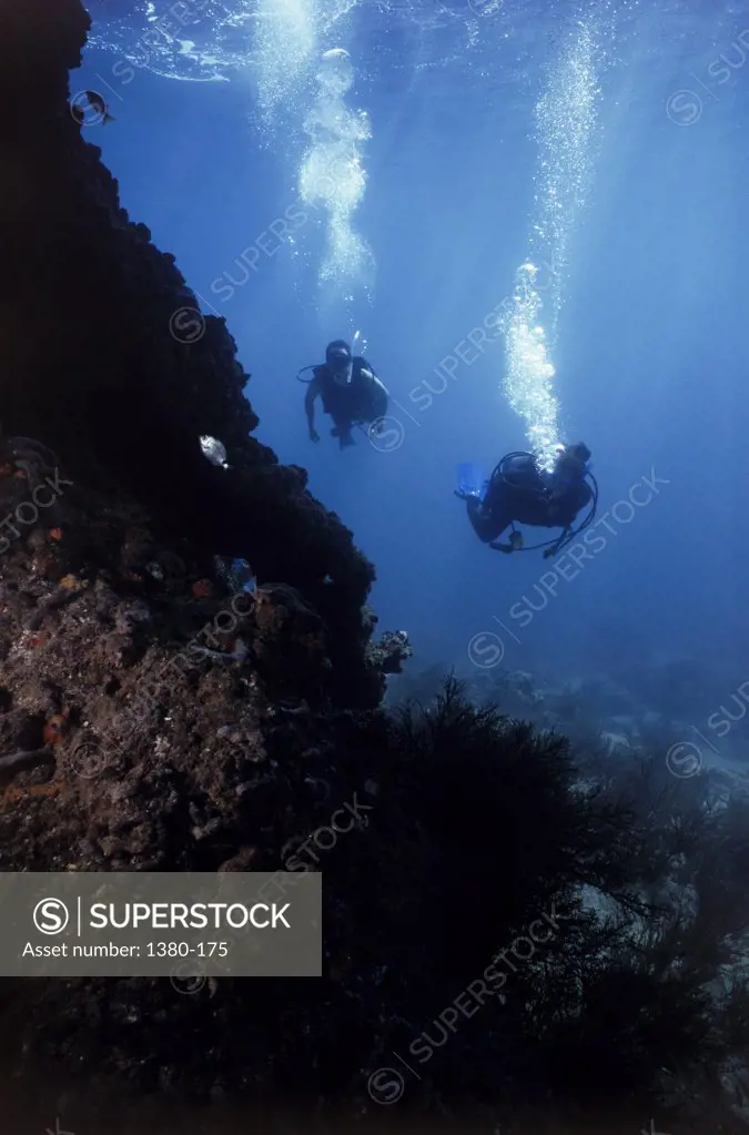 Two scuba divers underwater near a reef