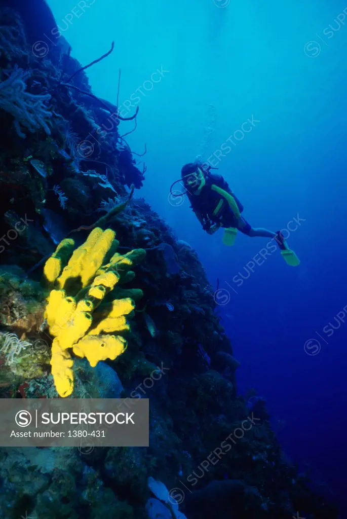Scuba diver underwater, Cayman Islands