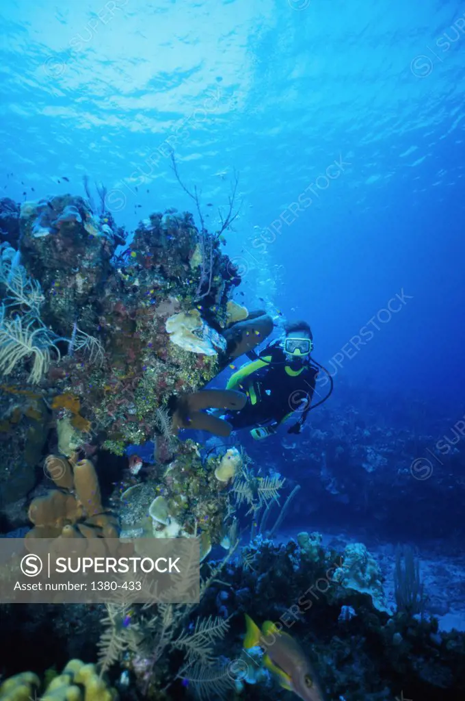 High angle view of a scuba diver underwater near a reef, Cayman Islands