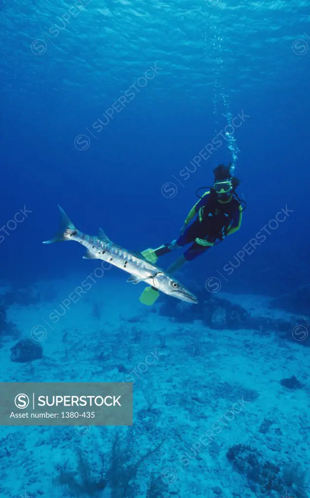 Scuba diver and a fish underwater, Cayman Islands