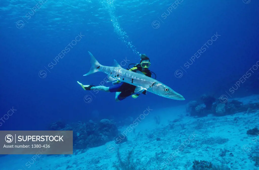 Scuba diver and a fish underwater, Cayman Islands