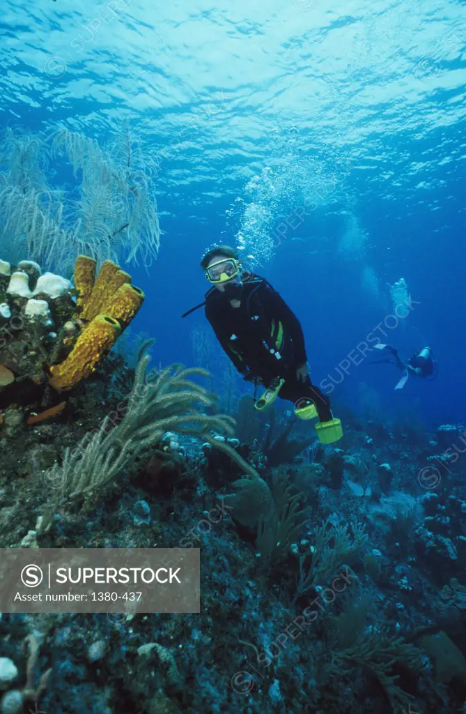 Two scuba divers underwater, Cayman Islands