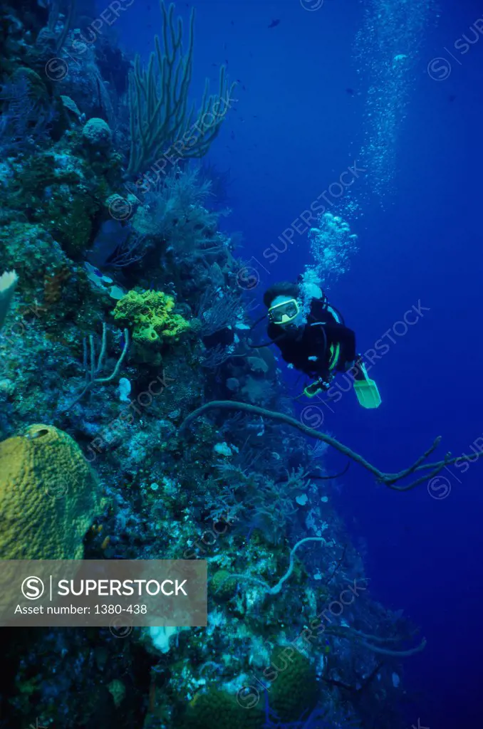 High angle view of a scuba diver underwater, Cayman Islands