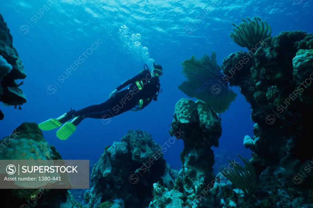 Low angle view of a scuba diver underwater, Cayman Islands