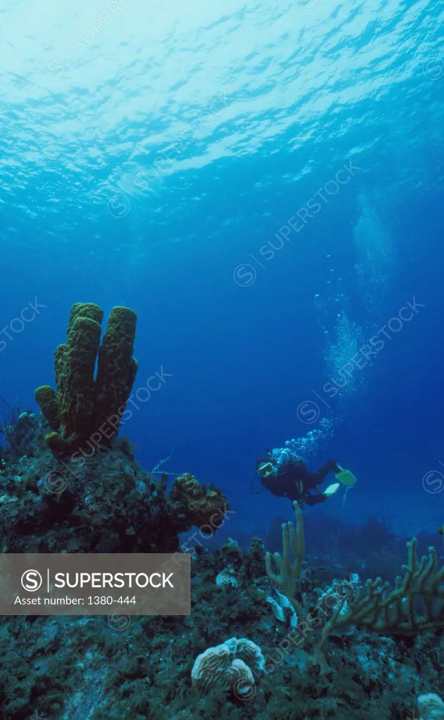 Scuba diver underwater near a reef, Cayman Islands