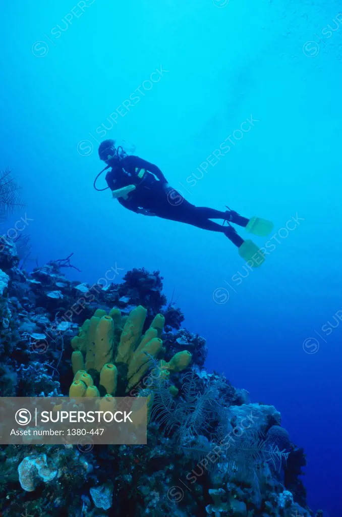 Side profile of a scuba diver underwater near a reef, Cayman Islands