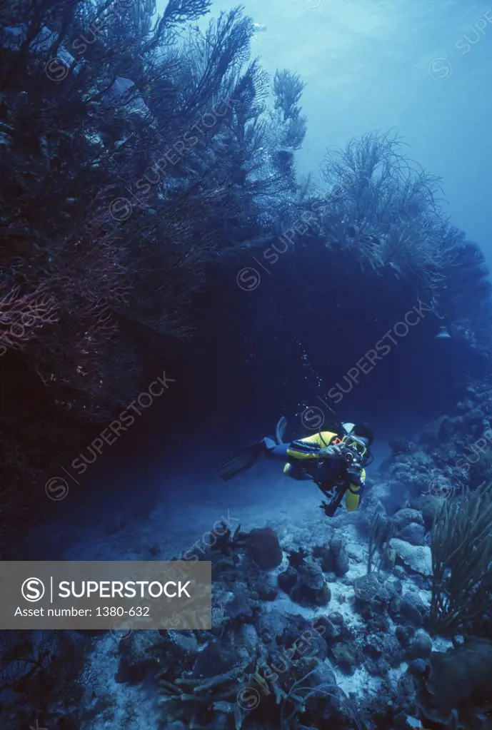 High angle view of a scuba diver swimming underwater