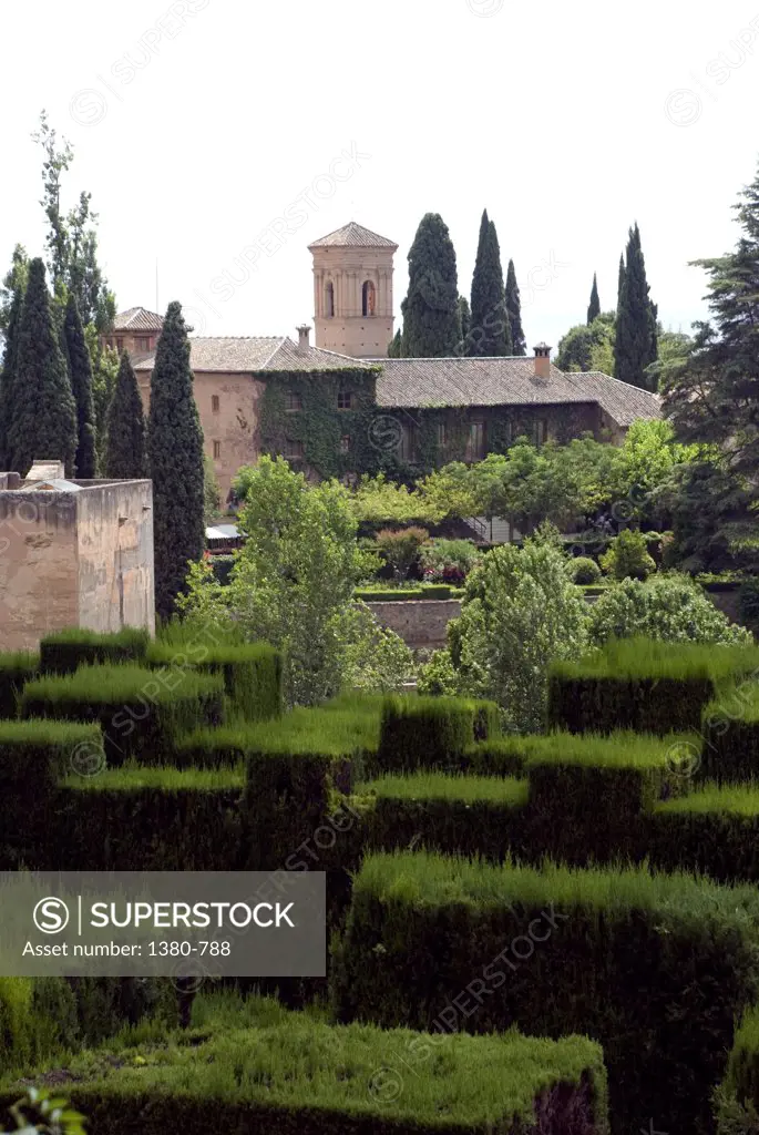 Formal garden in front of a palace, Alhambra, Granada, Andalusia, Spain