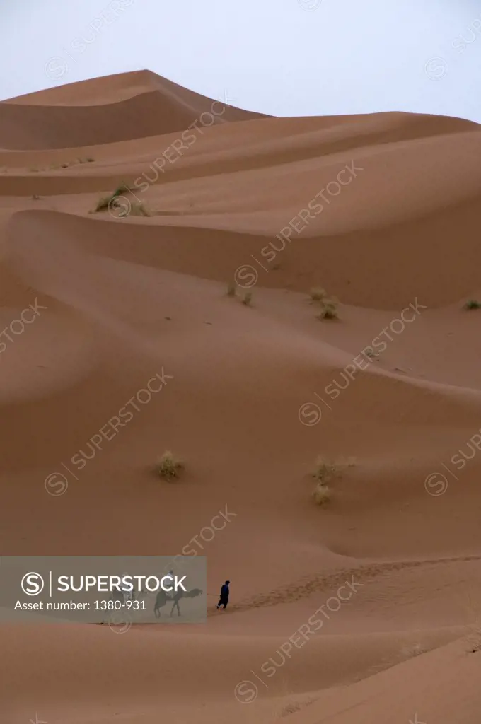People riding camels in a desert, Sahara Desert, Morocco