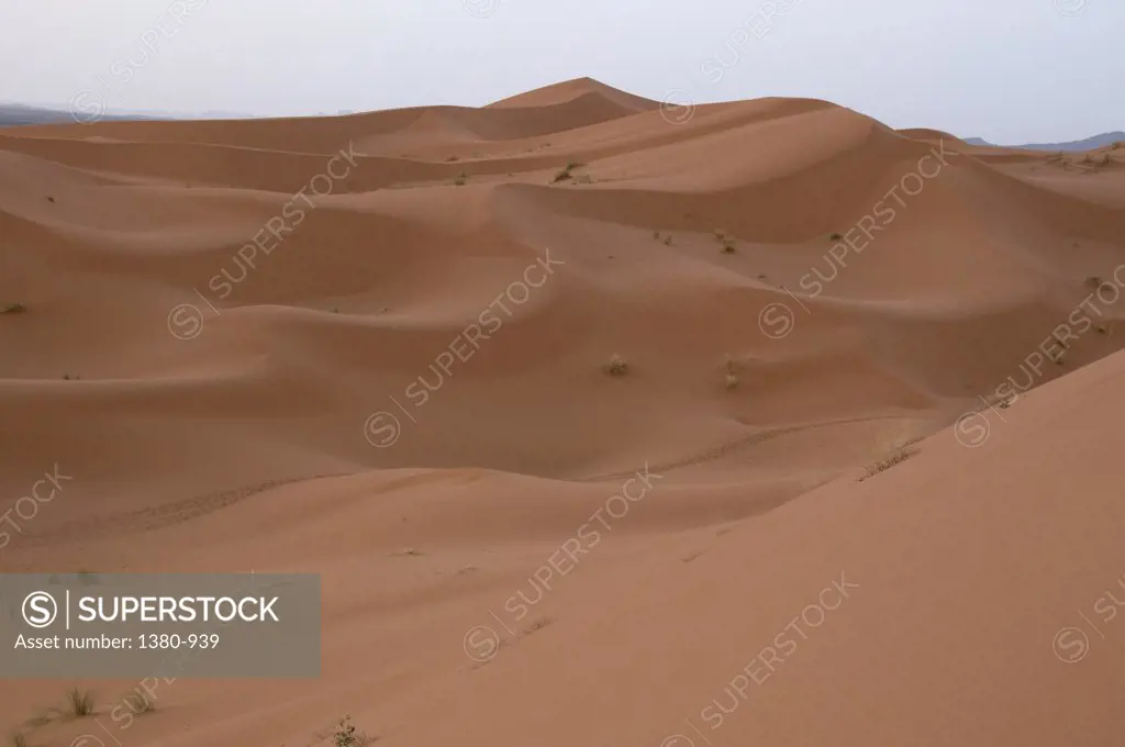 Sand dunes in desert, Erg Chebbi Dunes, Sahara Desert, Morocco
