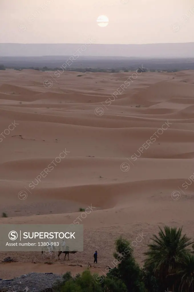 Desert at dawn, Sahara Desert, Morocco