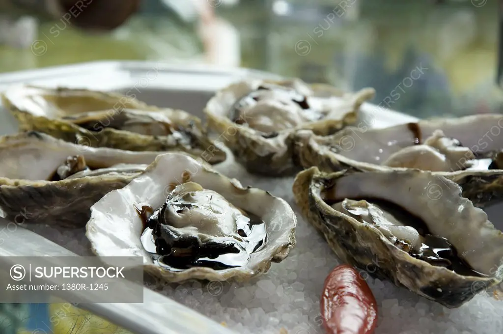 Close-up of Oysters, Florianopolis, Santa Catarina, Brazil