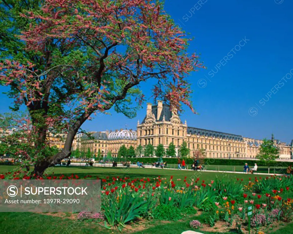 Tuileries Garden and Louvre Paris France  