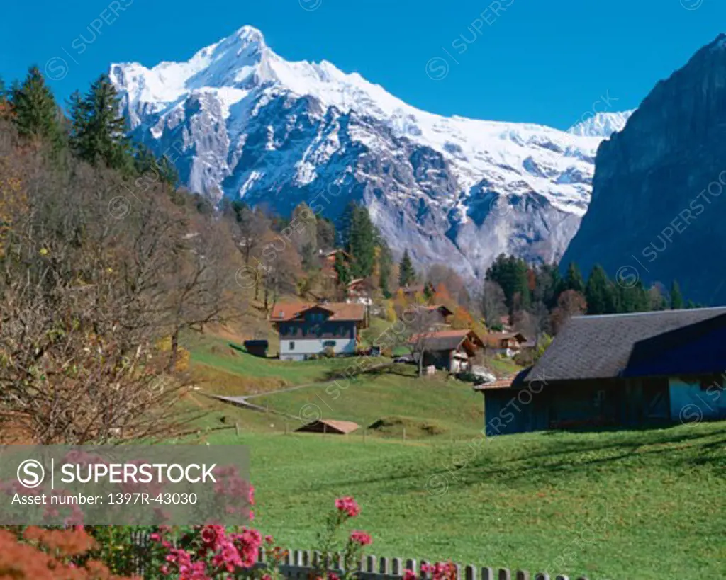 Switzerland    