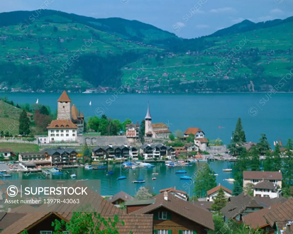 Lake Thun Switzerland   