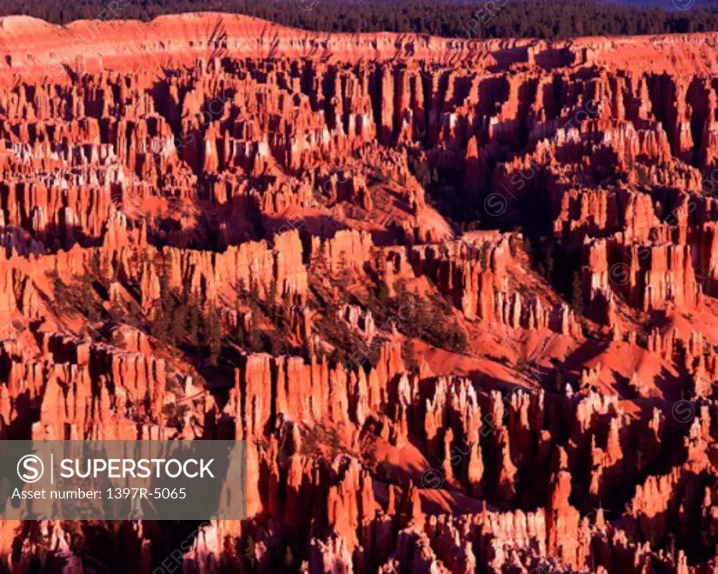 Bryce Canyon National Park  Utah USA