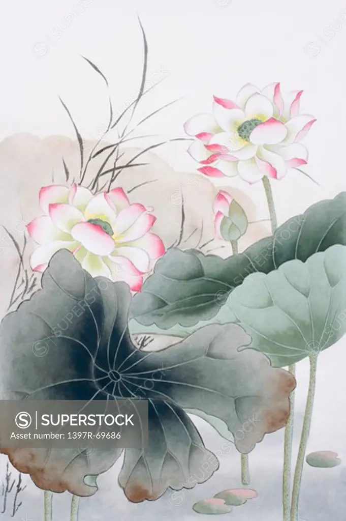 Chinese Fine art, Traditional Chinese Painting, Lotus, Water Lily