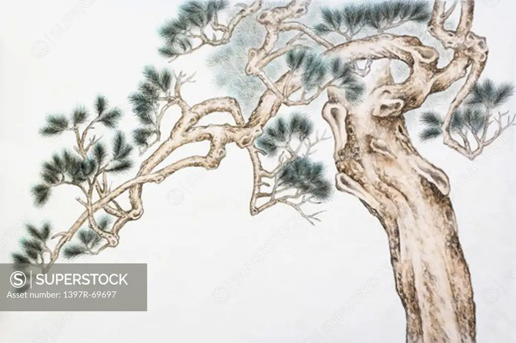 Chinese Fine art, Traditional Chinese Painting, Pine Tree