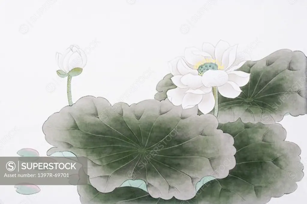 Chinese Fine art, Traditional Chinese Painting, Lotus, Water Lily