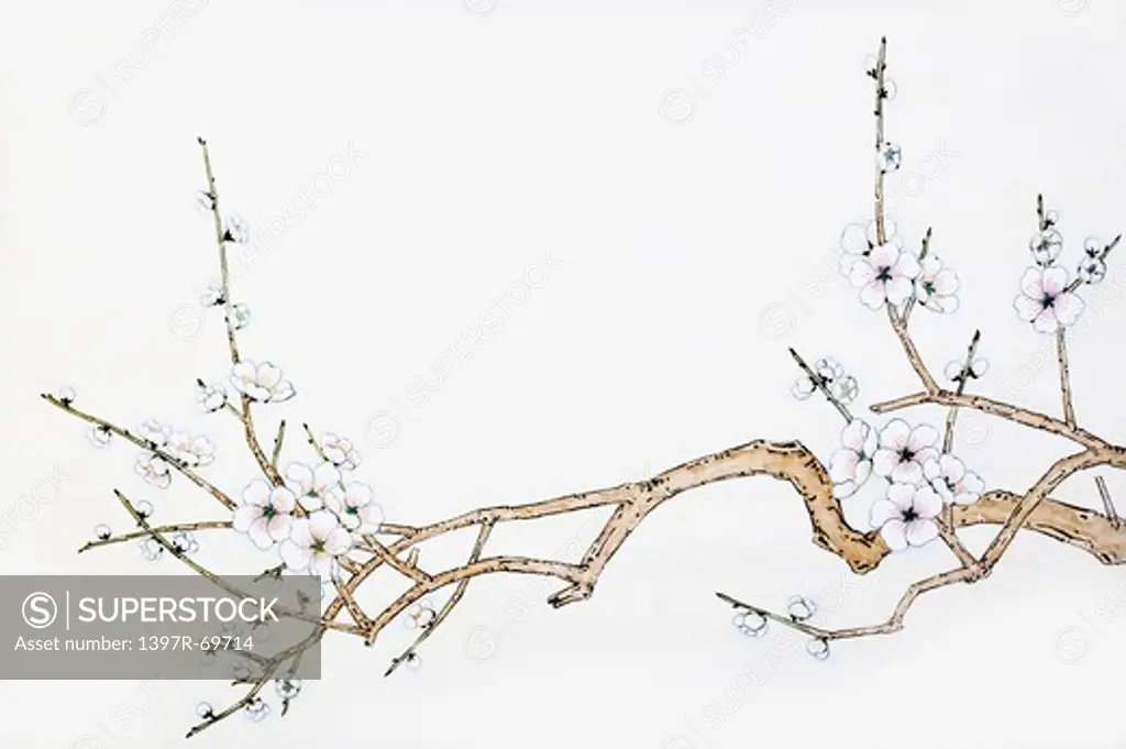 Chinese Fine art, Traditional Chinese Painting, Plum Blossom