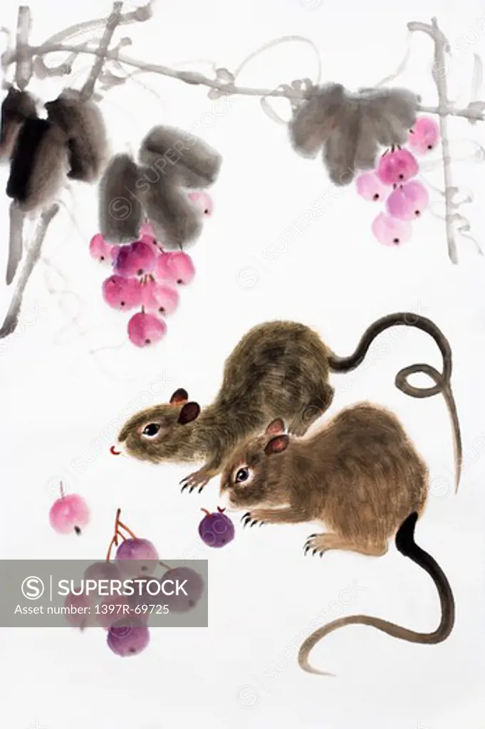 Chinese Fine art, Traditional Chinese Painting, Year of The Rat