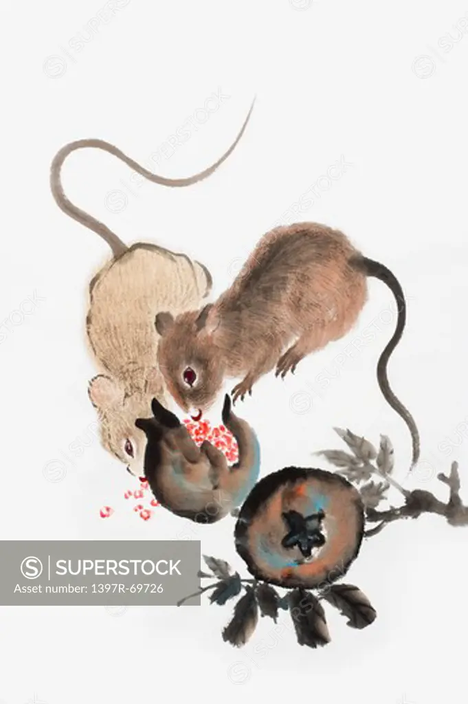 Chinese Fine art, Traditional Chinese Painting, Year of The Rat