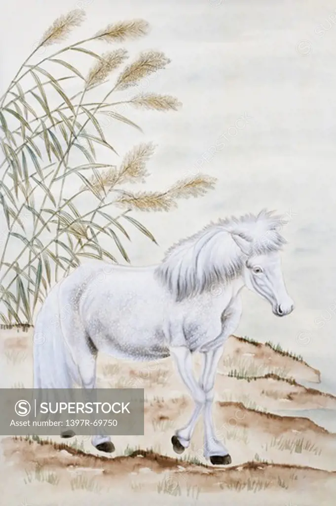 Chinese Fine art, Traditional Chinese Painting, Year Of The Horse