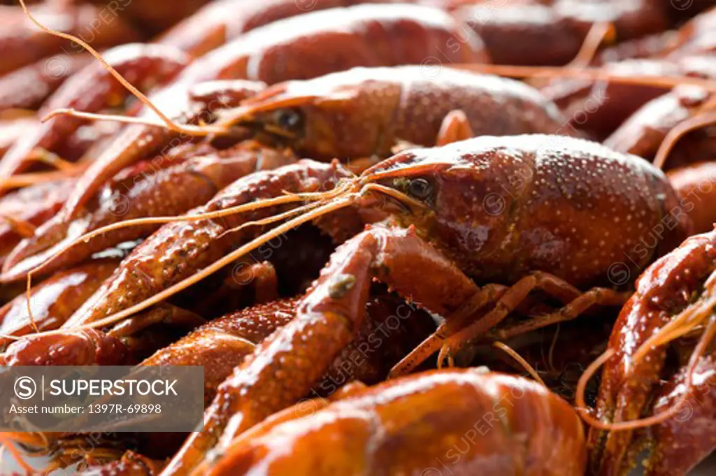 Close-up of a stack of lobsters
