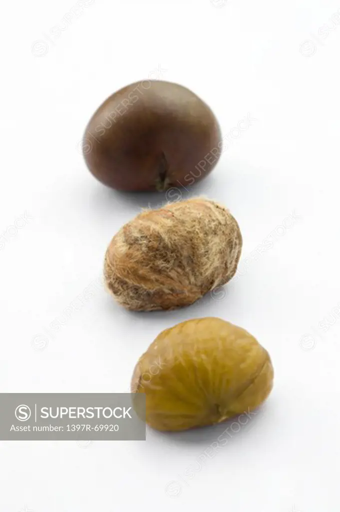 Close-up of three chestnuts in a row