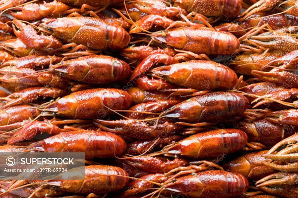 Close-up of a stack of lobsters, full frame